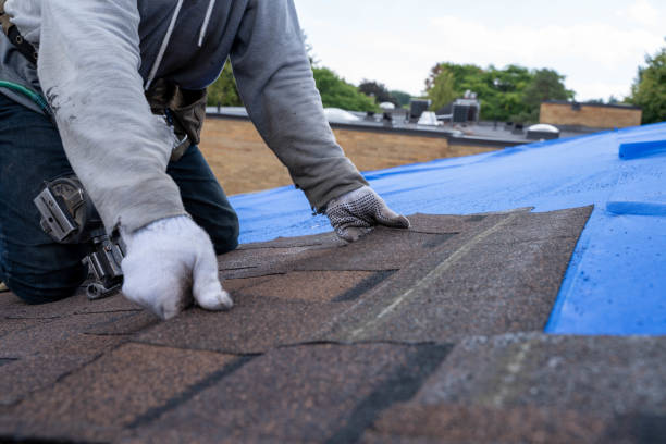 Gutter Installation and Roofing in Lake Belvedere Estates, FL