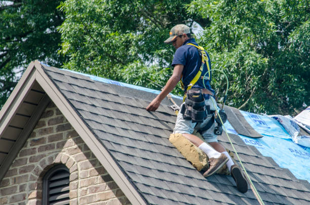 Quick and Trustworthy Emergency Roof Repair Services in Lake Belvedere Estates, FL